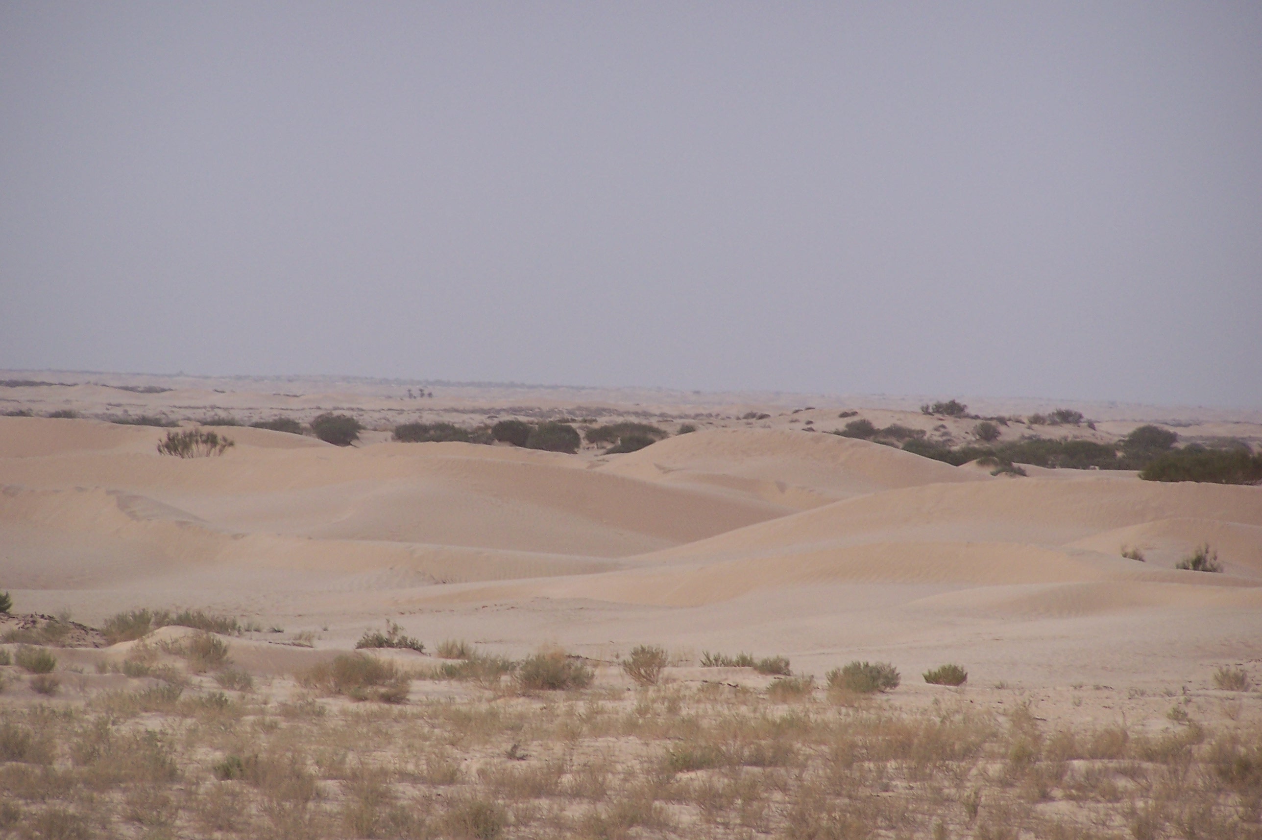100_3500.jpg