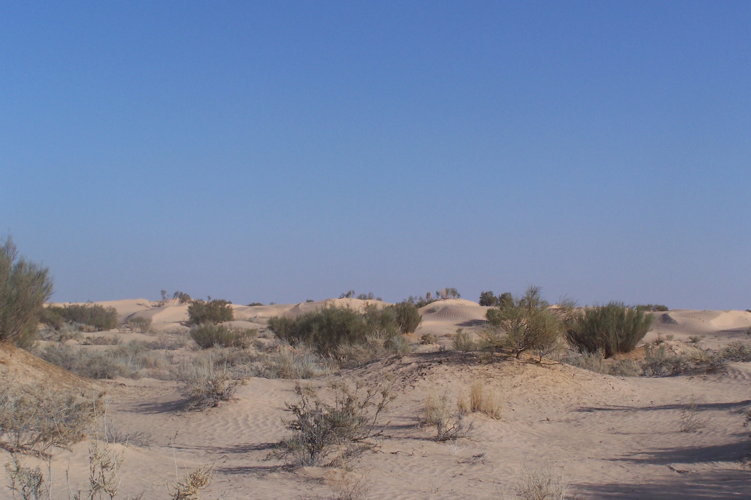 100_3513.jpg