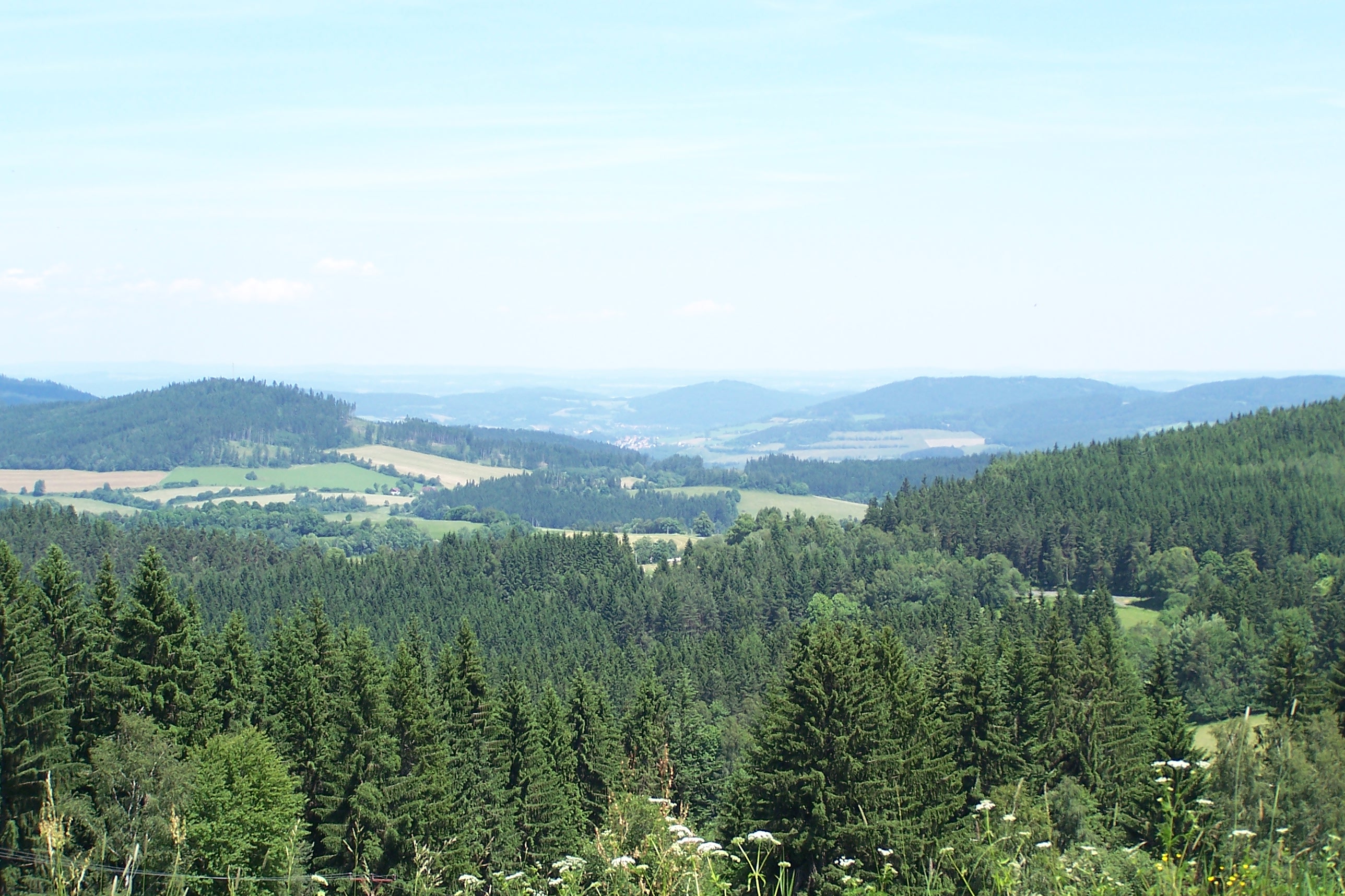 Sumava